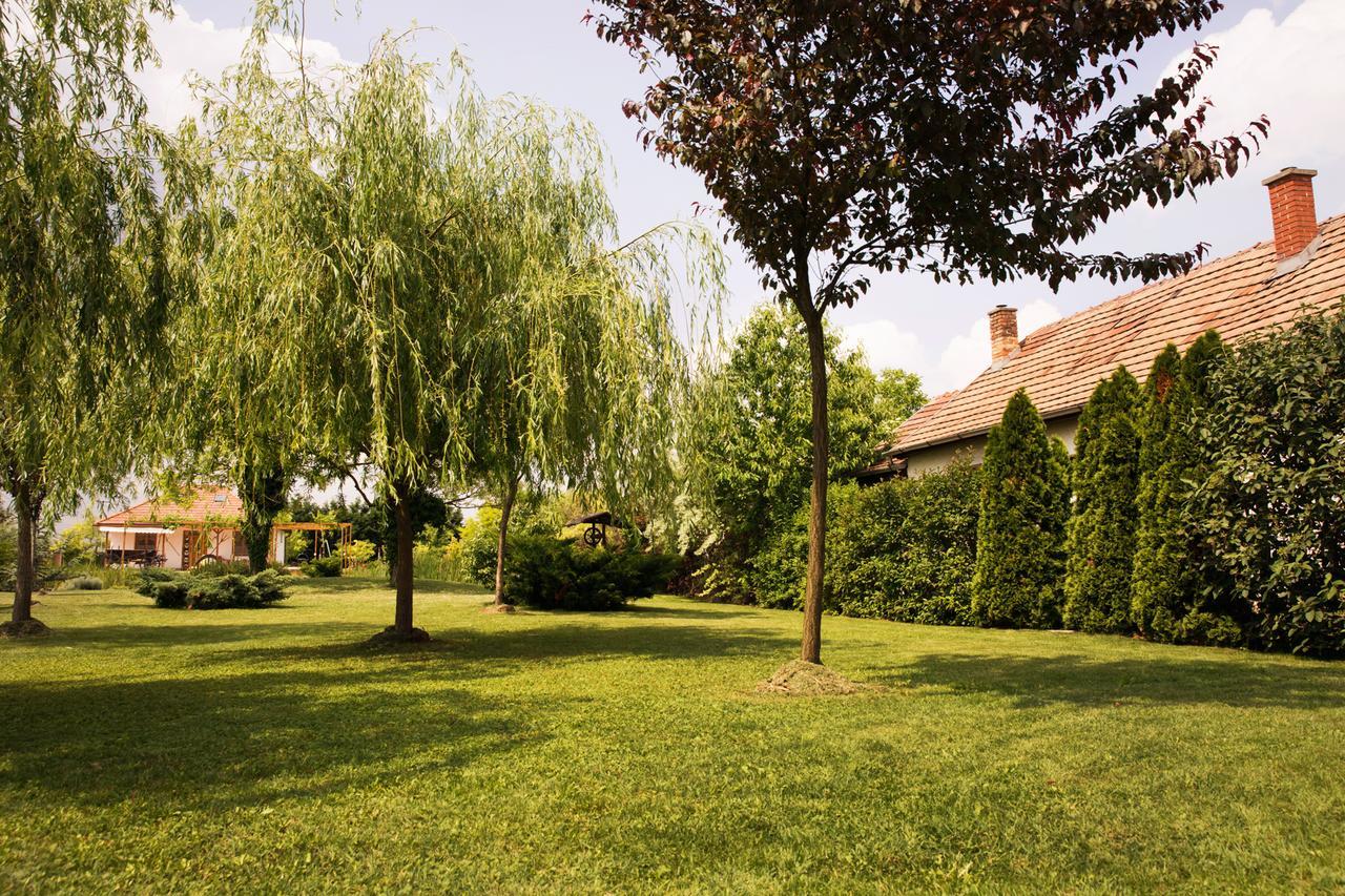 Angelika Vendeghaz Dinnyes Exterior photo